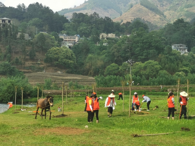 1703167230768070940.jpg 83155392902884ynHSS.jpg