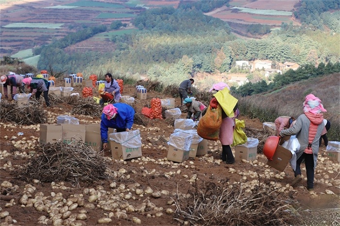 1716186882802064486.jpg 1.jpg