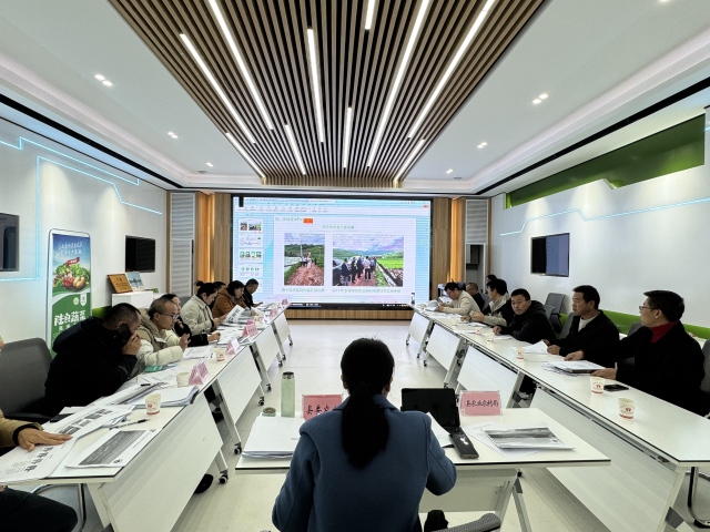 1733970827720070899.jpg 11.jpg