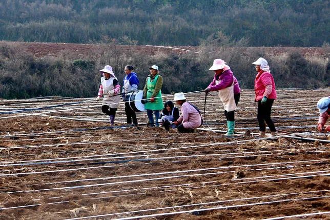 1736731714857068729.jpg 4.jpg