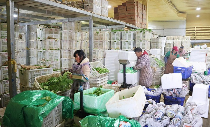 1739753384830030025.jpeg 222.jpeg