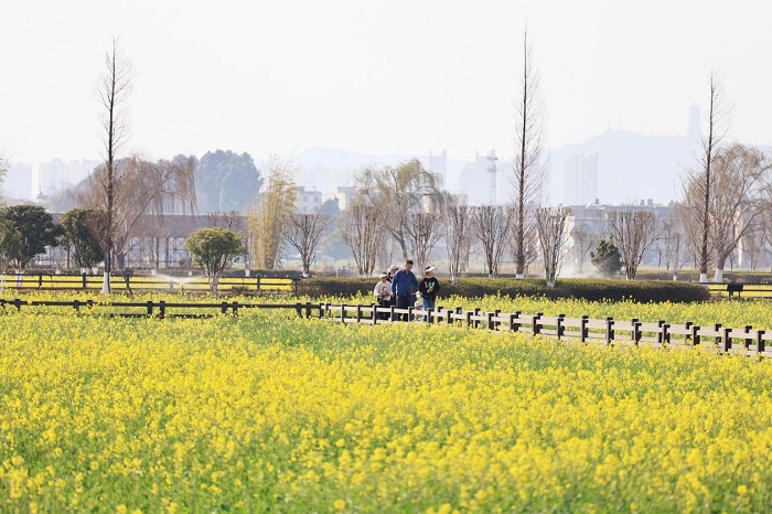 1741054424414068580.jpeg 22.jpeg