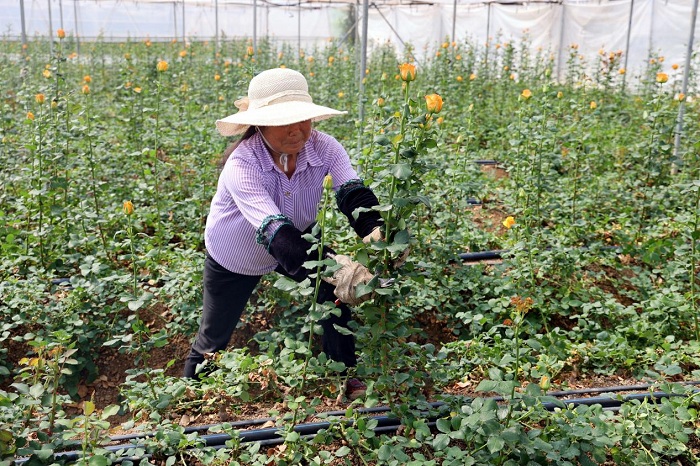 1741054437234064521.jpeg 2222.jpeg