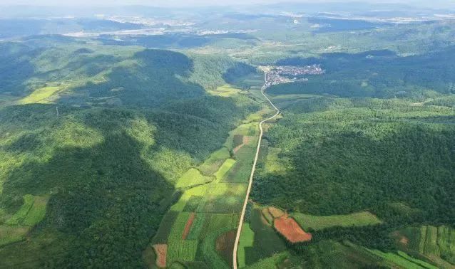 1747015244288010903.jpg 7.jpg