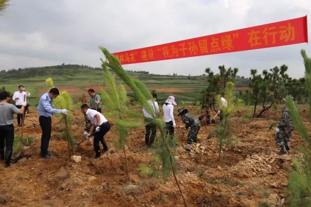 1747015304784009354.jpg 10.jpg