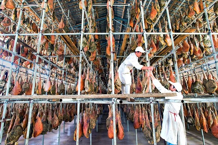 1749434274055052817.jpg 22.jpg