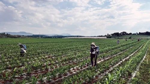 1751168470998053676.jpg 666.jpg