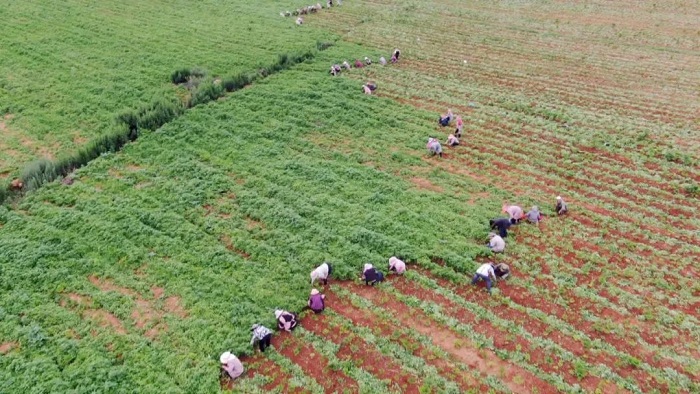 1752575030437056970.jpg 1111.jpg