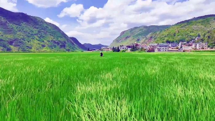 1752575040864023825.jpg 222.jpg