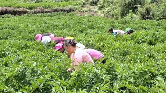 1752575050578041541.jpg 333.jpg