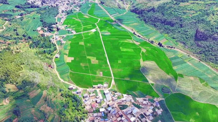 1752575056788001703.jpg 444.jpg