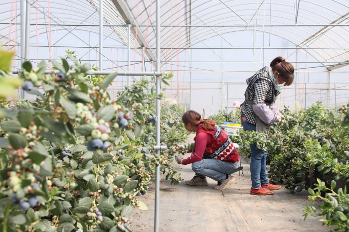 1755599391440072975.jpeg 99.jpeg