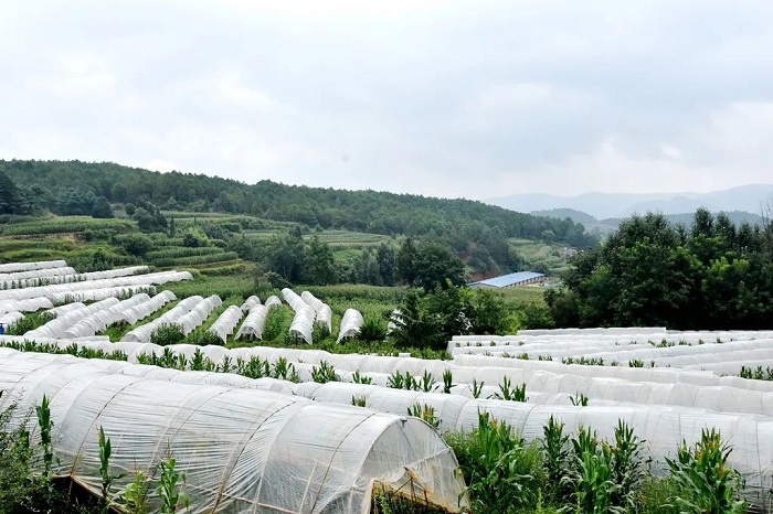 1756295402938009326.jpg 1111111.jpg