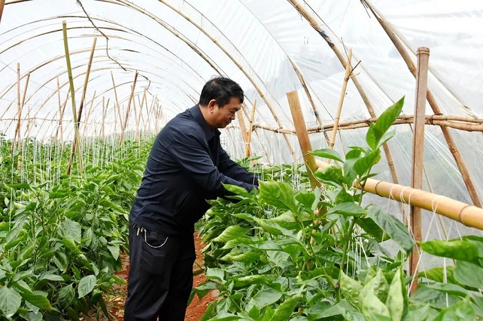 1756295440530009628.jpg 2222222.jpg