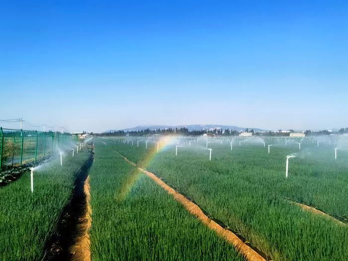 1757842919497013509.jpg 微信图片_20250915155441_14_17.jpg