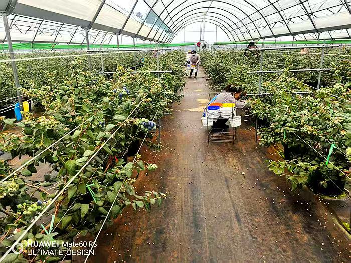 1757842927144063683.jpg 微信图片_20250915155442_15_17.jpg