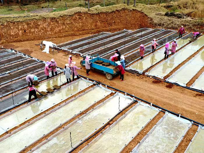 1757842941080000367.jpg 微信图片_20250915155444_17_17.jpg