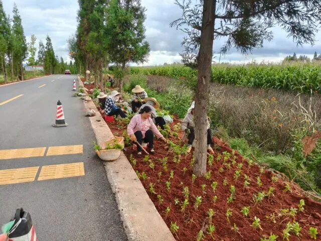 1759914299479044233.jpg 1.jpg