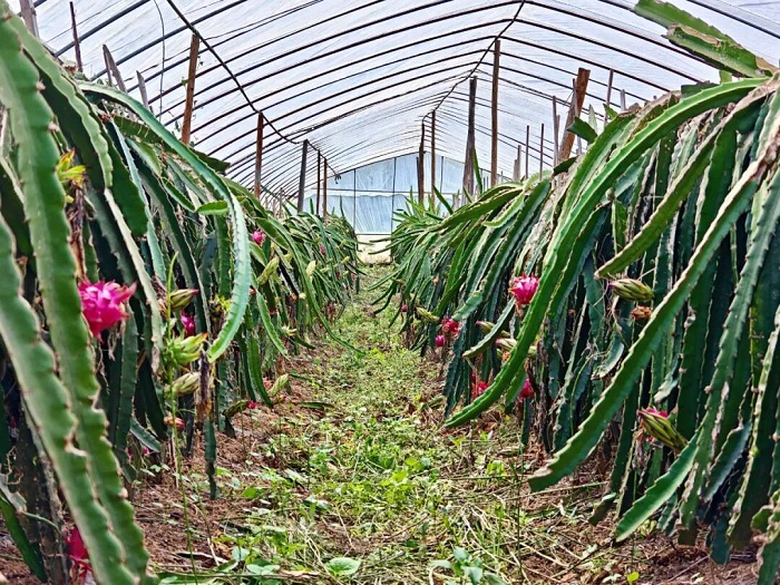 1760007768805052715.jpg 77.jpg