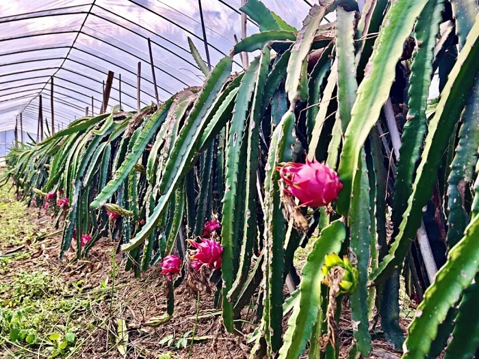 1760007789260075544.jpg 8.jpg