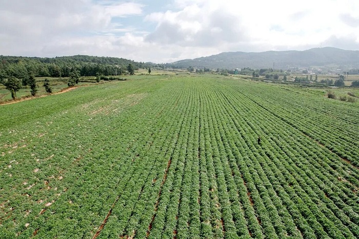 1760094657644091091.jpg 00.jpg