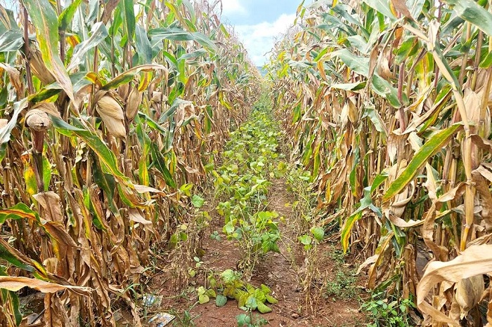 1760094694993076950.jpg 01.jpg