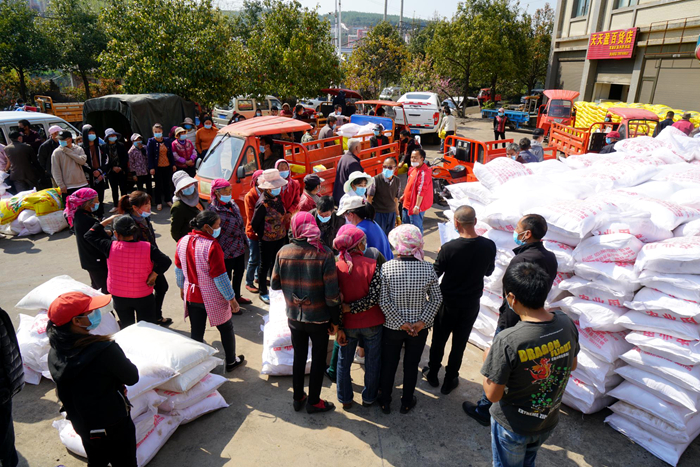 1760523596093060139.jpg 222222222.jpg