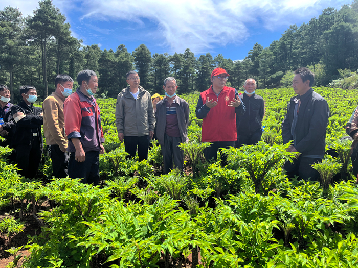 1760523612887010676.jpg 33333333.jpg