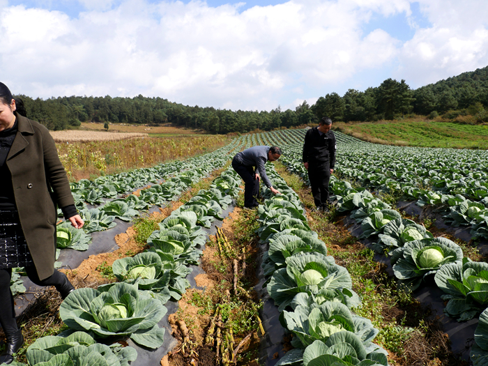 1760523626336027298.jpg 4444444444.jpg