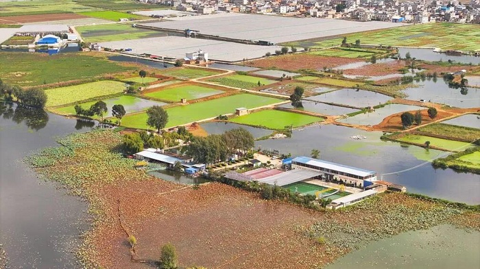 1761650206178076447.jpg 3.jpg