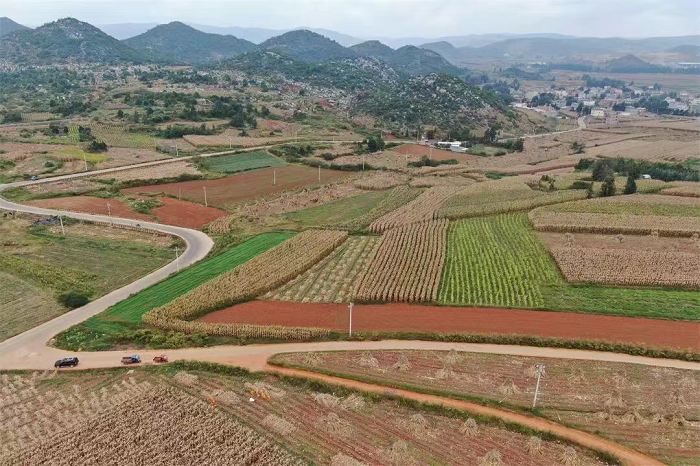 1763526731112066812.png 微信图片_20251120104609_4_2.png