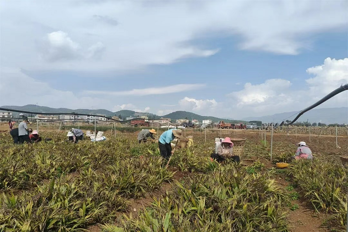 1763526750055086968.png 微信图片_20251120104632_5_2.png