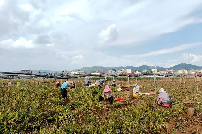 1764672602441032447.jpg 11.jpg