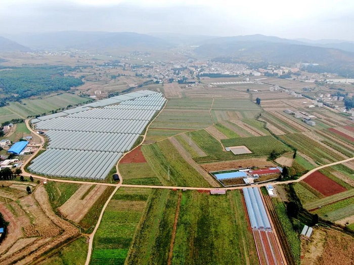 1764672614851002787.jpg 22.jpg