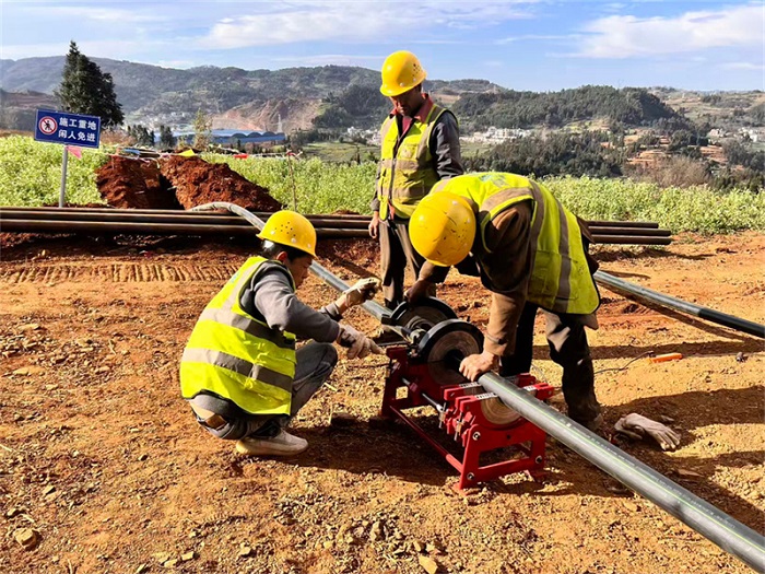 1772102860015080023.jpg 11.jpg