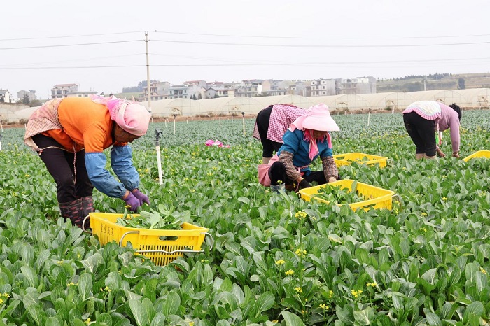 1773715633127040453.jpeg 22222.jpeg