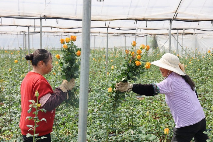 1773715652185061154.jpeg 44444.jpeg