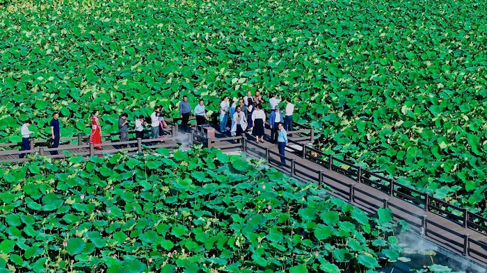 1773715661589034424.jpeg 55555.jpeg