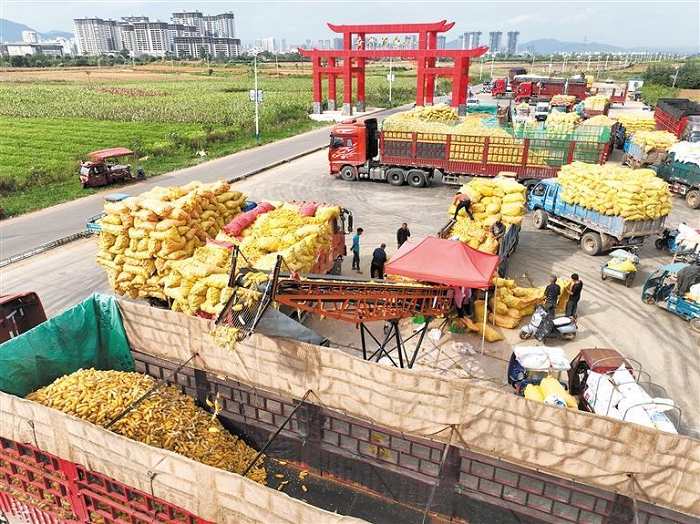 1774866221033049502.png 1.png