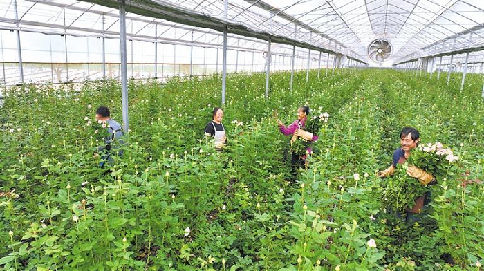 1774869149033007590.png 6666.png