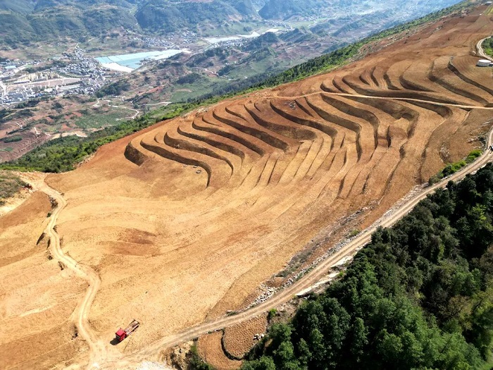 1775722868928089649.jpg 2.jpg