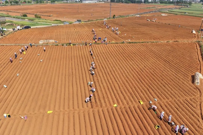 1776163199631034638.jpg 211.jpg