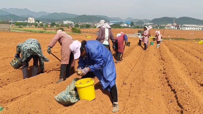 1776163226987019614.jpg 222.jpg